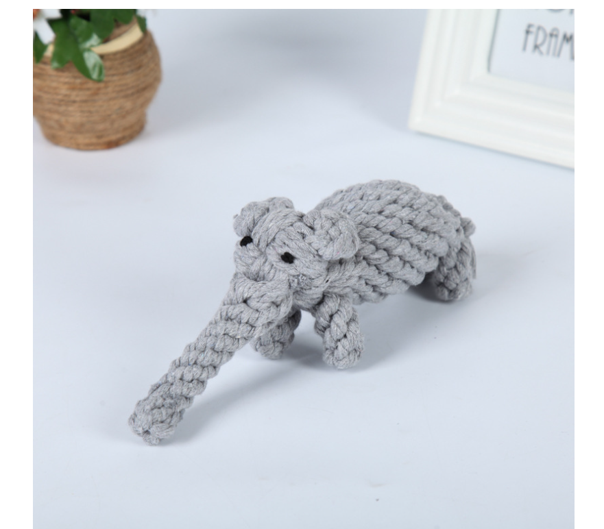 Pet Toy
