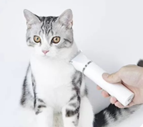 Nail Clipping