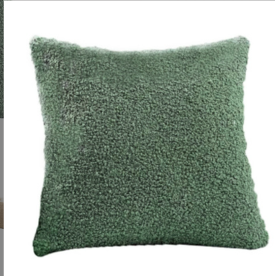 Cushion Cover Image 1