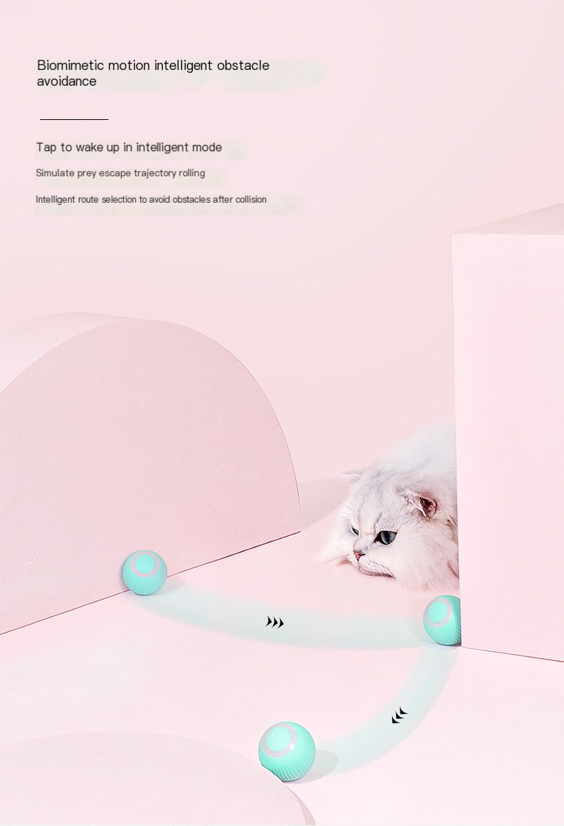 Rechargeable Cat Toy