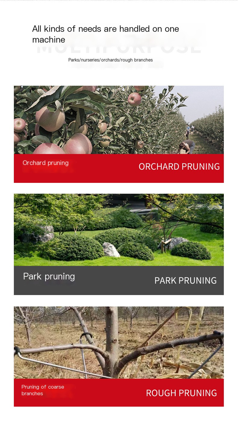 Electric Pruner Image 5