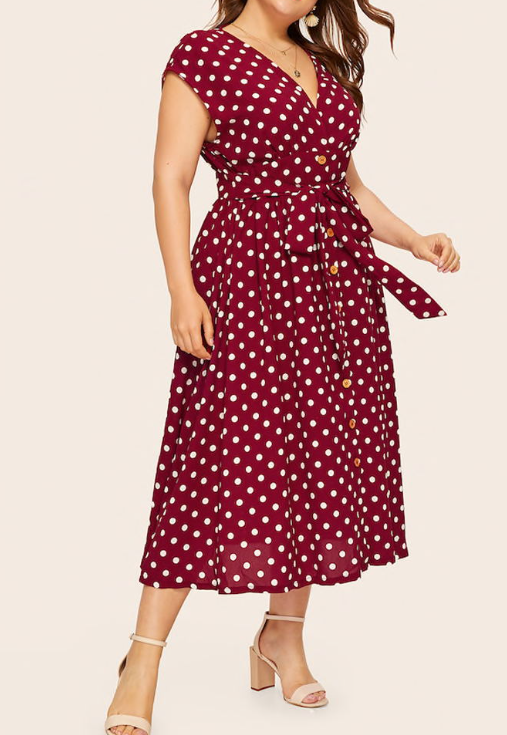 Polka Dot Dress Image 5