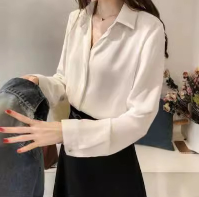 Chiffon Shirt Image 2