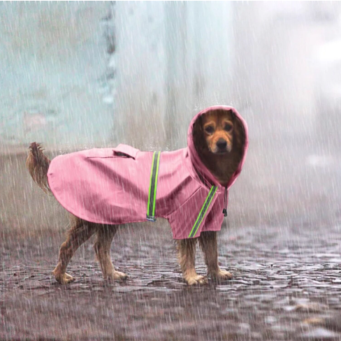 Dog Raincoat Pink