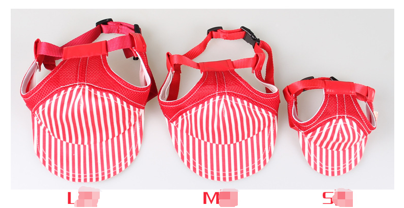 Pet Baseball Cap in Action