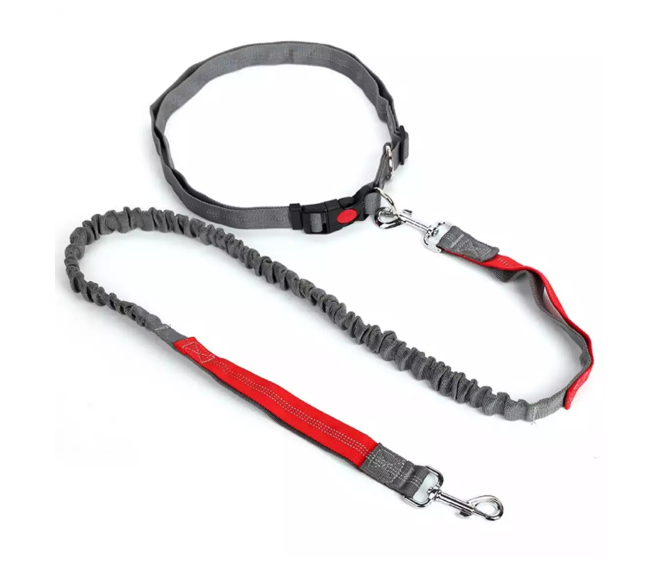 Pet Leash Set Image 3