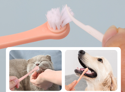 Dog Toothbrush 4