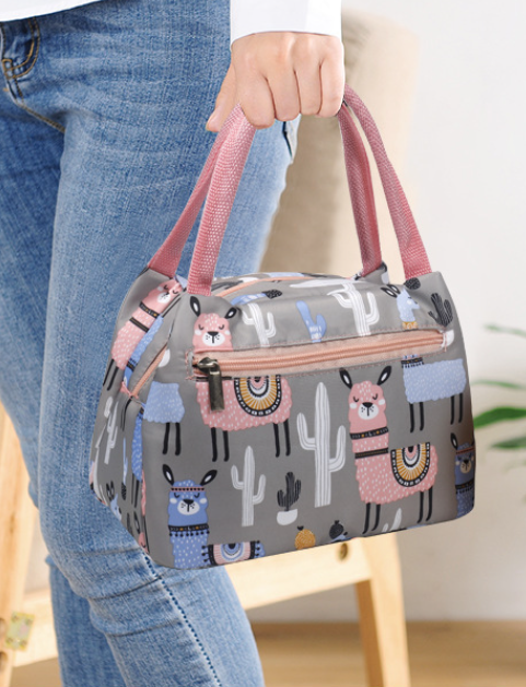 Fashion Zipper Portable Insulation Bag - Color Options