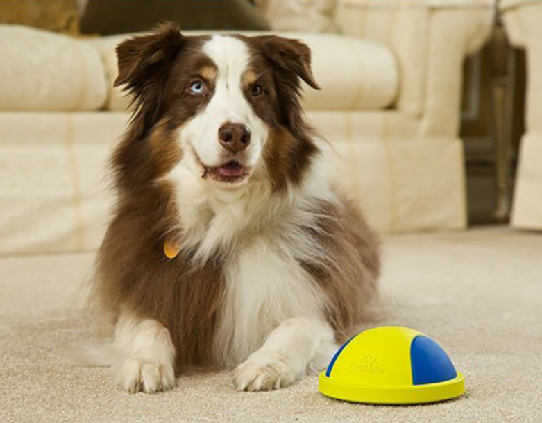 Pet Toy Ball Image 3