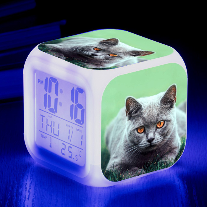 Cat narrow colorful square alarm clock image