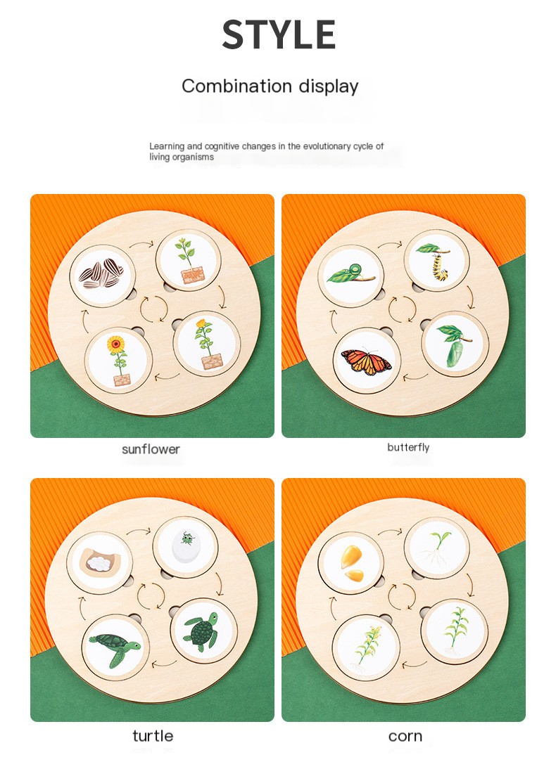 Montessori Wooden Puzzle Image 3