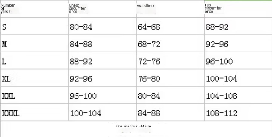 Lace Bodysuit Image 1