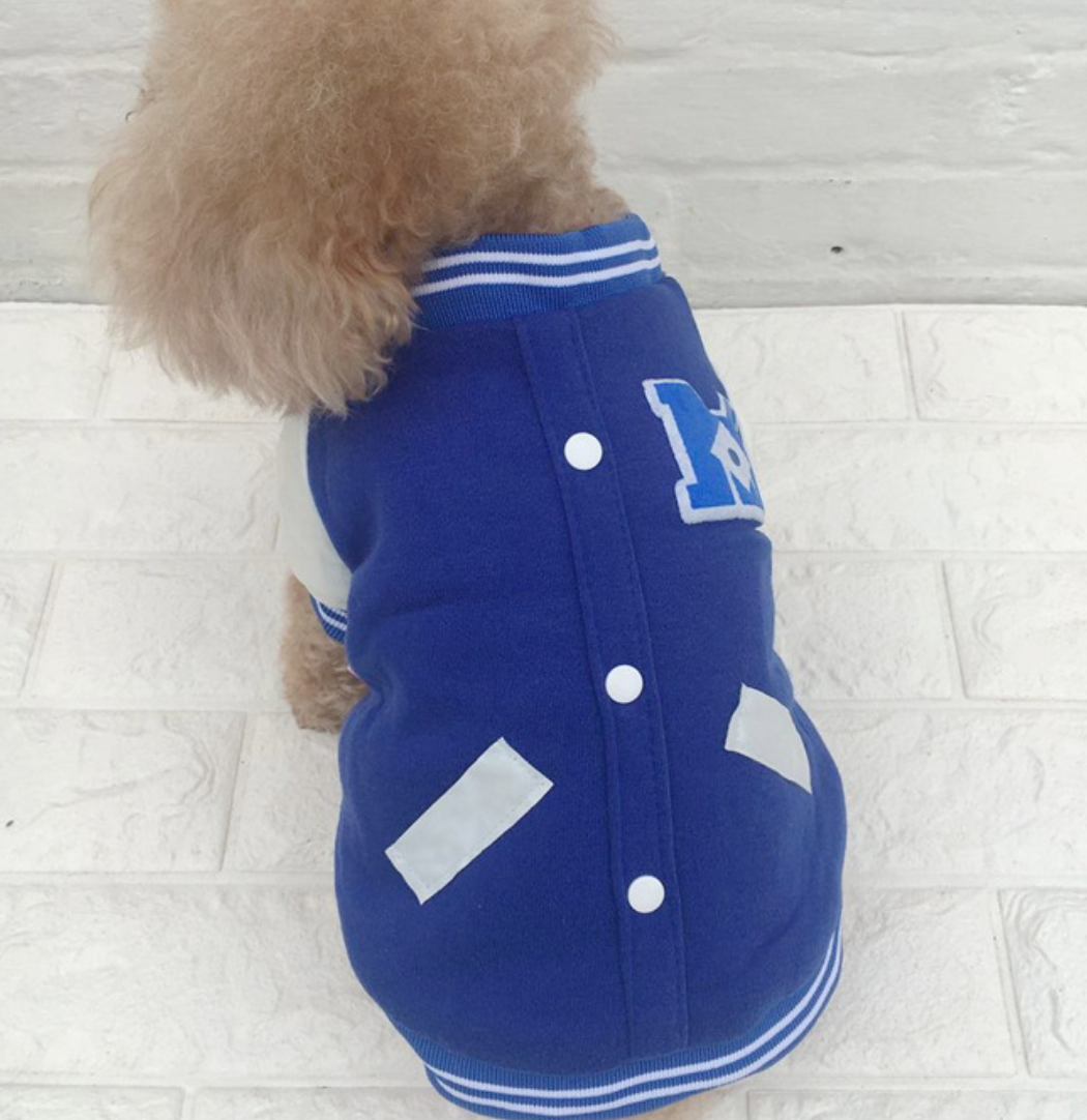 Cat in Baseball Outfit