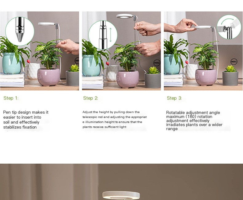 Plant Growth Light setup
