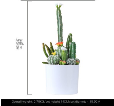 Artificial Cactus Plant 2