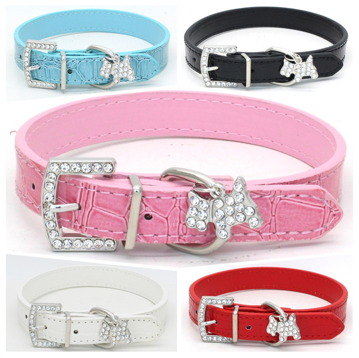 Colorful Dog Collars