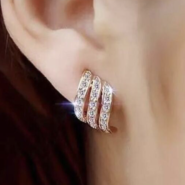 Feather Earrings Image 1