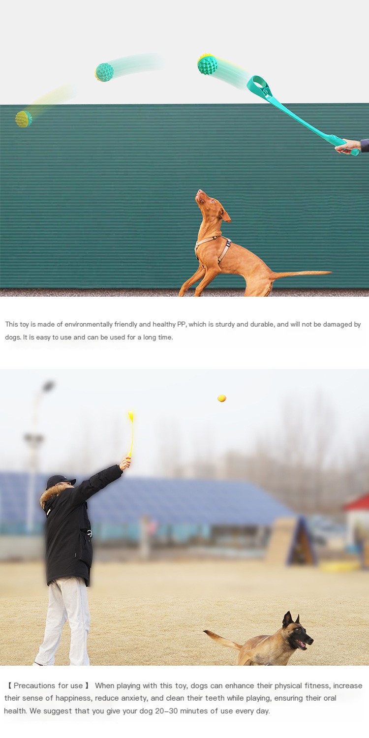 Throwing Toy 5