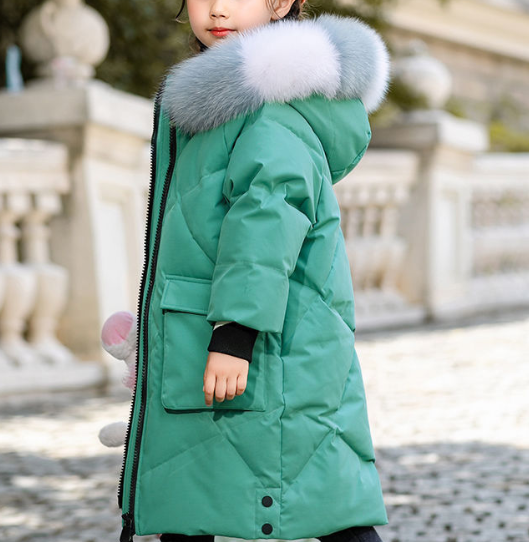 Various Colors of the Jacket
