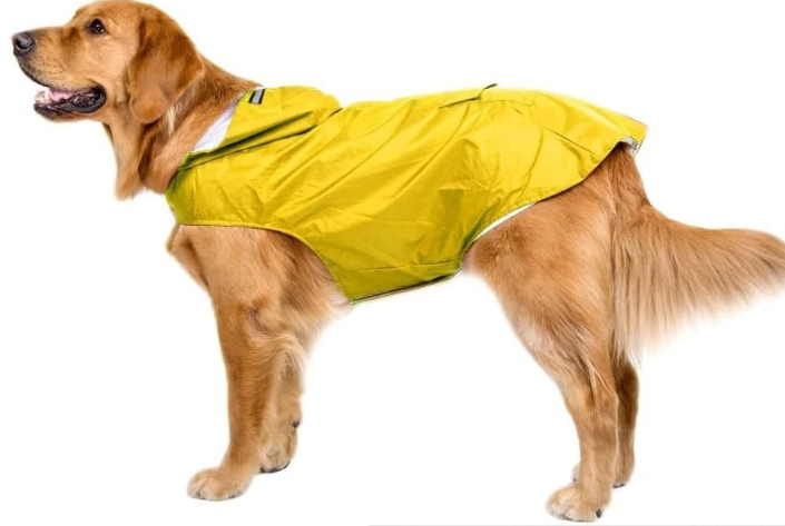 Big Dog Raincoat Yellow