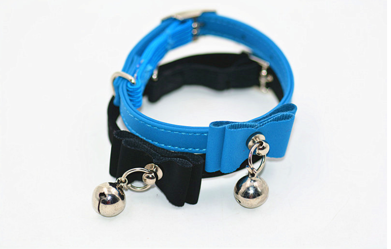 Happy Pets with Their Collars