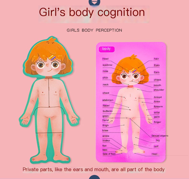 Human Cognition Puzzle Image 1