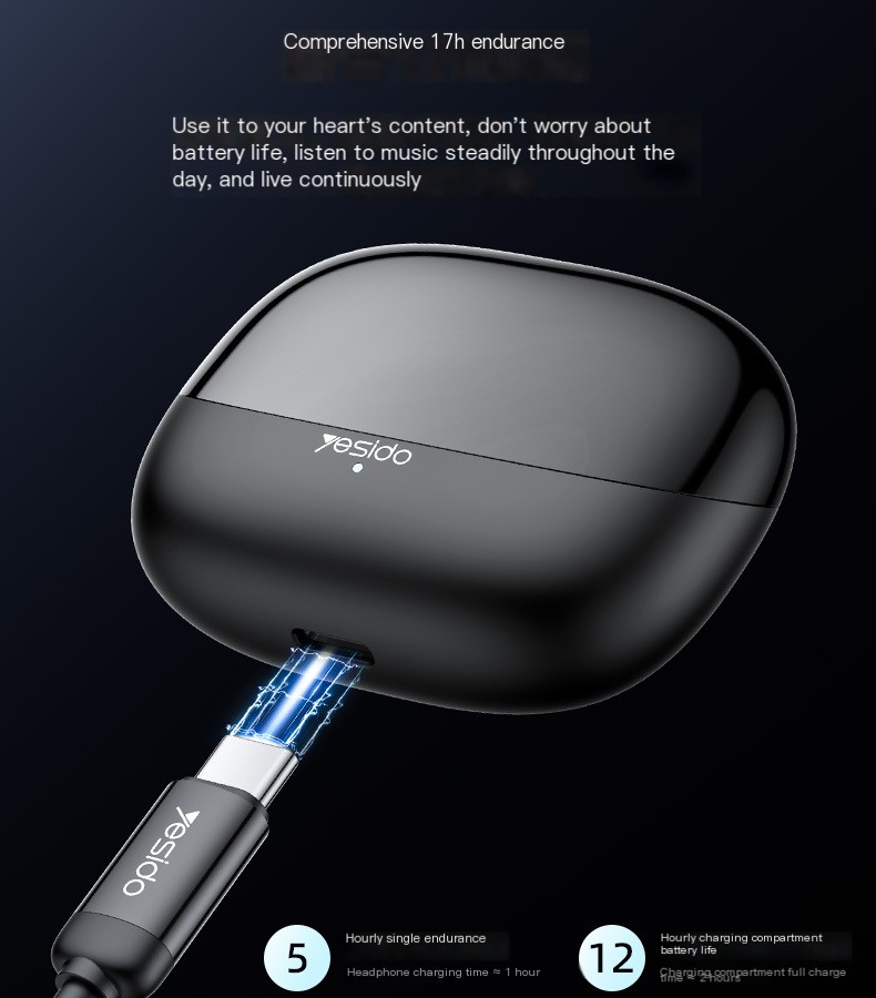 Your Perfect Audio Companion