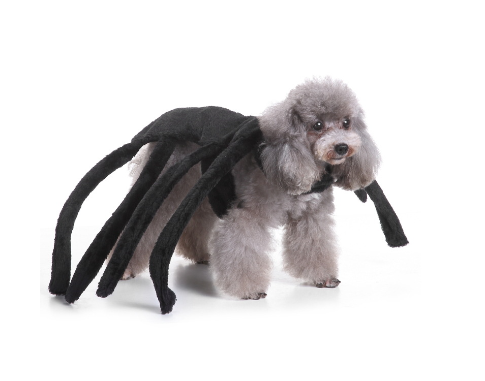 Costume Image 1