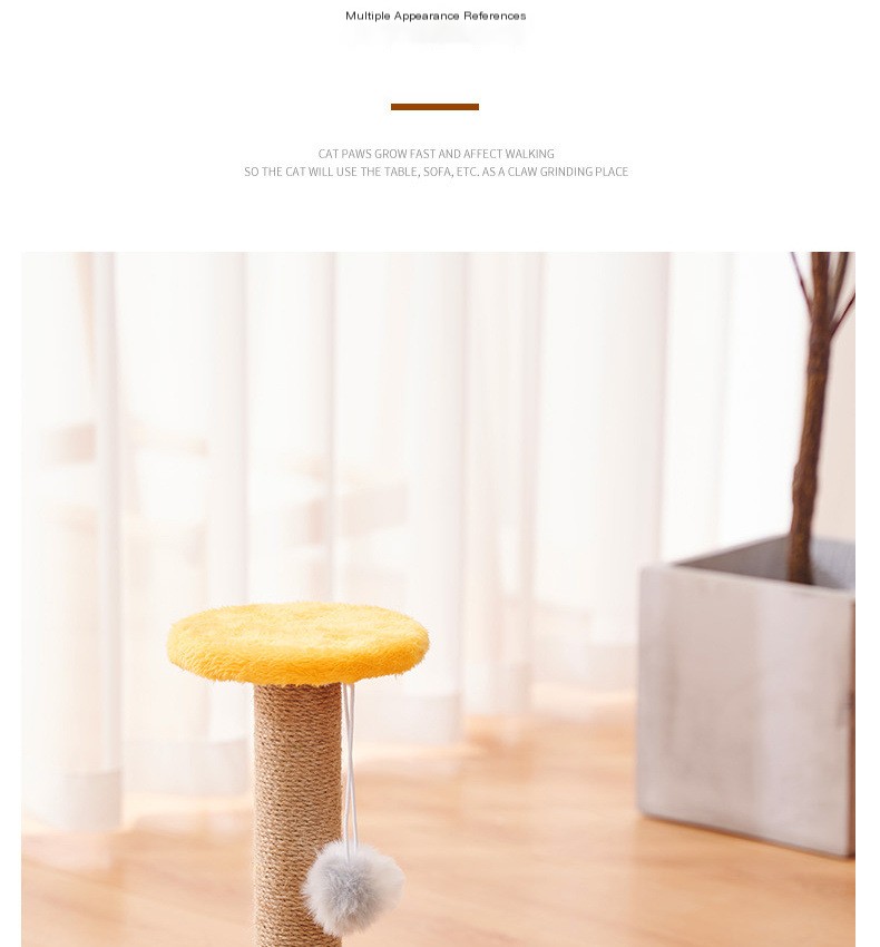 Cat Scratching Post 11