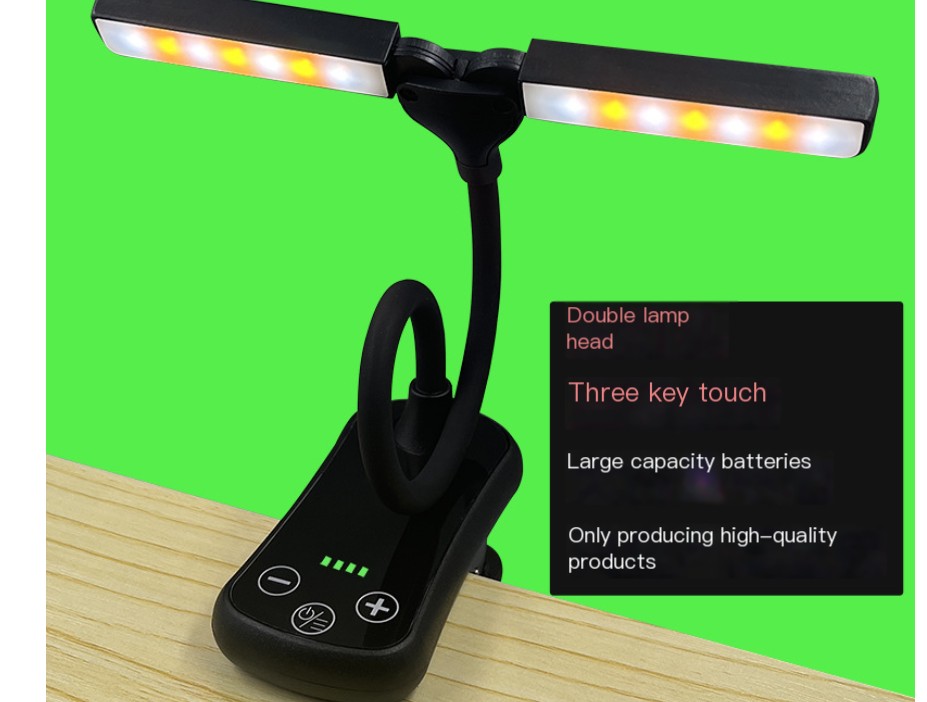 Dual-headed Book Lamp