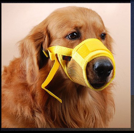 Muzzle Comfort Image 6