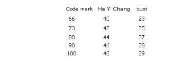 Embroidered Cardigan Knit Sweater