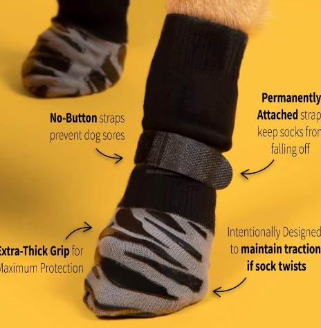 Dog Socks Image 1