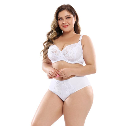 Lace Bra Image 1
