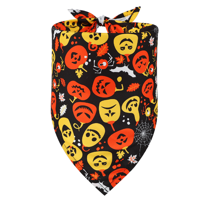 Colourful Bandana 2