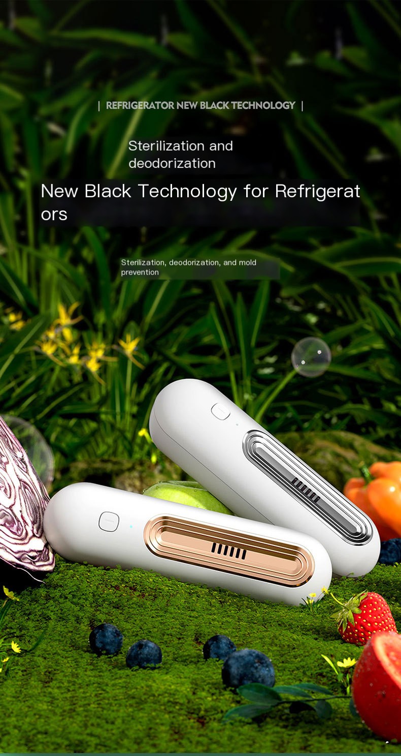 Refrigerator Deodorizer