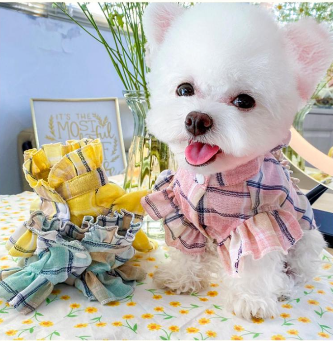 Pink Checkered Shirt with Wood Ears