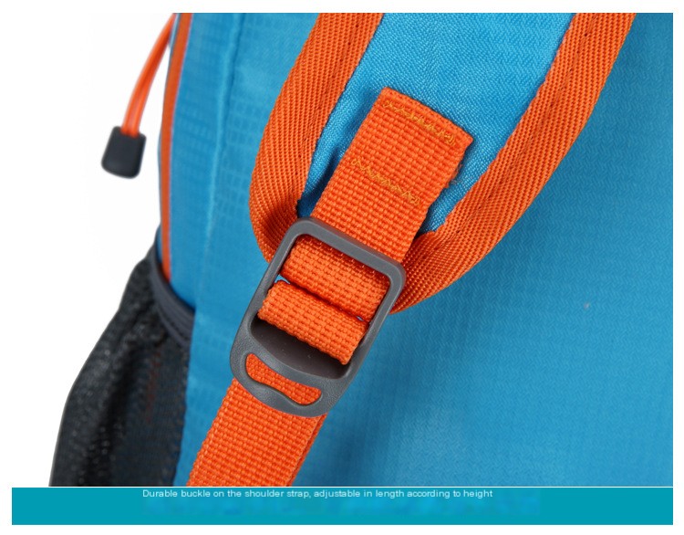 Backpack Image 4