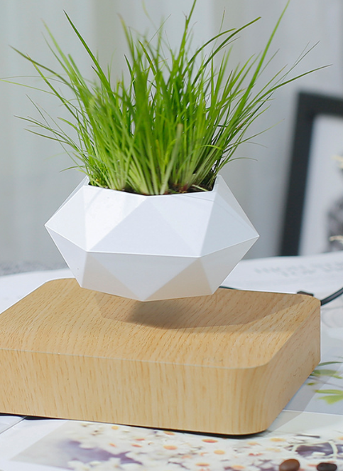 Magnetic Levitation Flowerpot 1