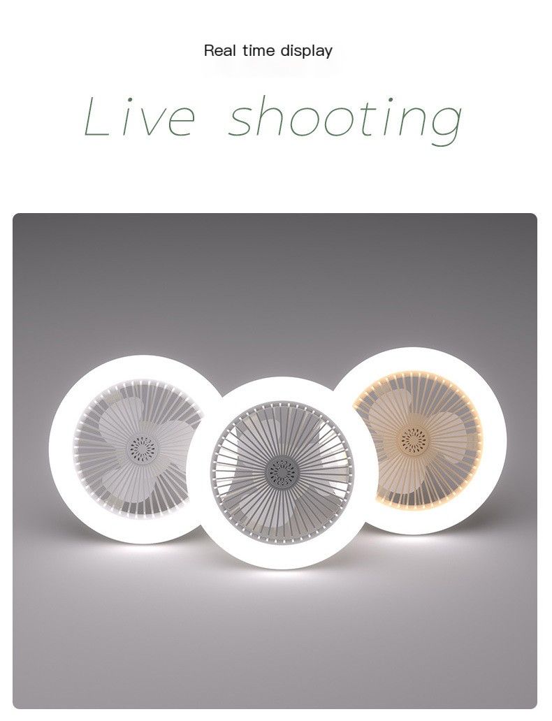 Fan Lamp 9