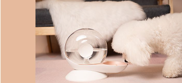 Snail Cat Water Dispenser Image 3