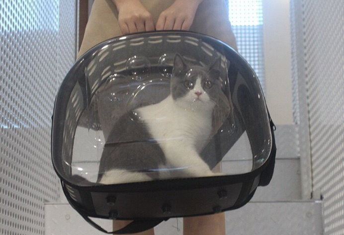 Pet Carrier Image 3