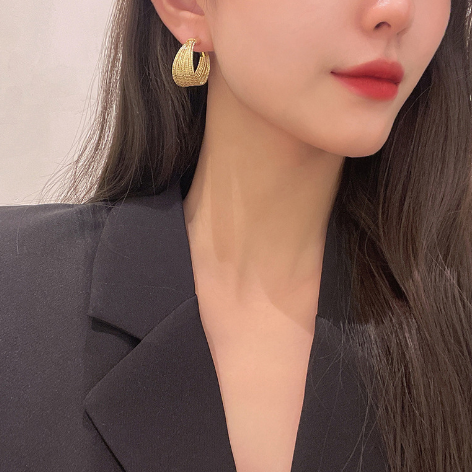 Brinco Argolas Luxury Earrings 4
