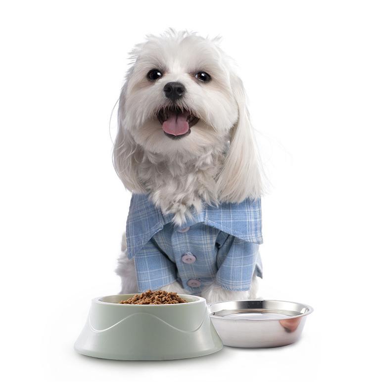 Pet Bowl Detail