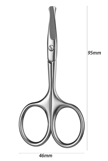Stainless Steel Scissors