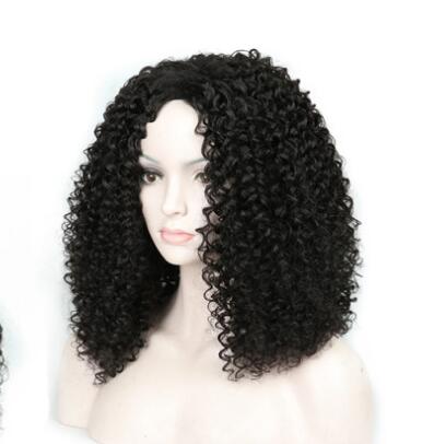 Short Curly Wig Image 1