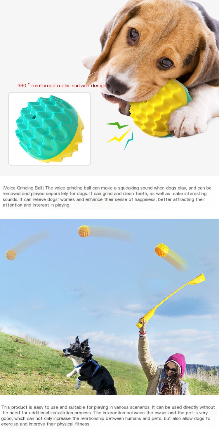 Throwing Toy 4
