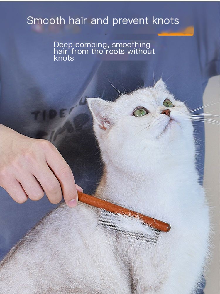 Pet Comb Image 5