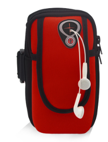 Sport Running Arm Pouch - Purple