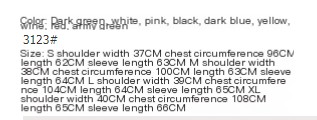 Chiffon Shirt